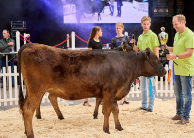 Balsters Premium Wagyu auf der European Wagyu Gala in Münster