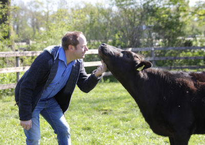 Patrick Balster streichelt sein Wagyu Rind